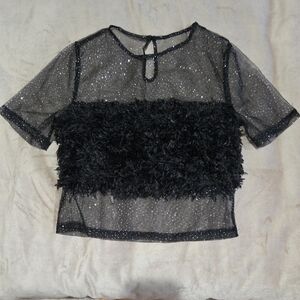 Sheer Glitter Mesh Feather Trim Crop Top Black Party Festival Blouse Shein